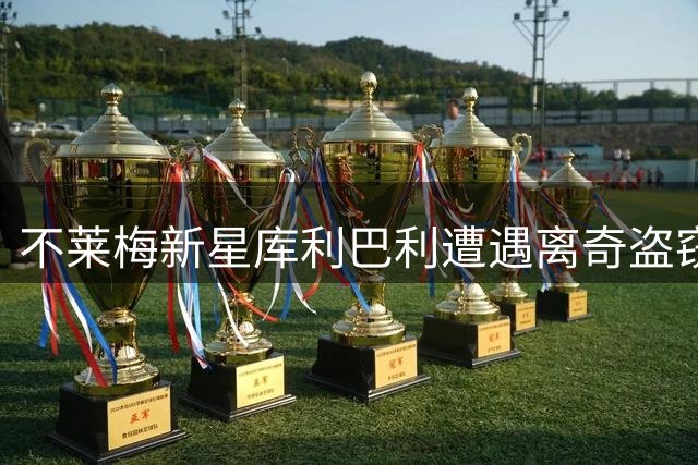 不莱梅新星库利巴利遭遇离奇盗窃 爱车四轮不翼而飞