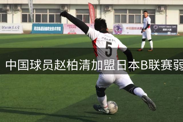中国球员赵柏清加盟日本B联赛弱旅 秋田北部喜悦上季仅10胜