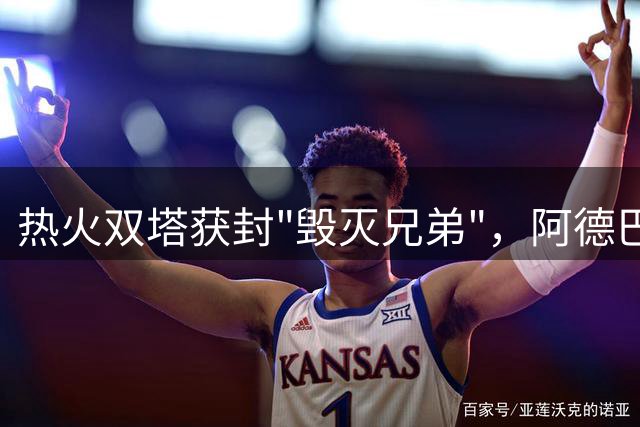 热火双塔获封"毁灭兄弟"，阿德巴约与字母哥成联盟最强内线组合