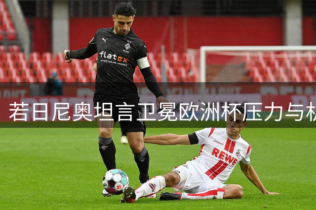 若日尼奥坦言卫冕欧洲杯压力与机遇并存 称死亡之组将检验意大利真实力